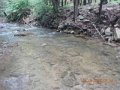 fowlers hollow.Laural run 06-09-14 066